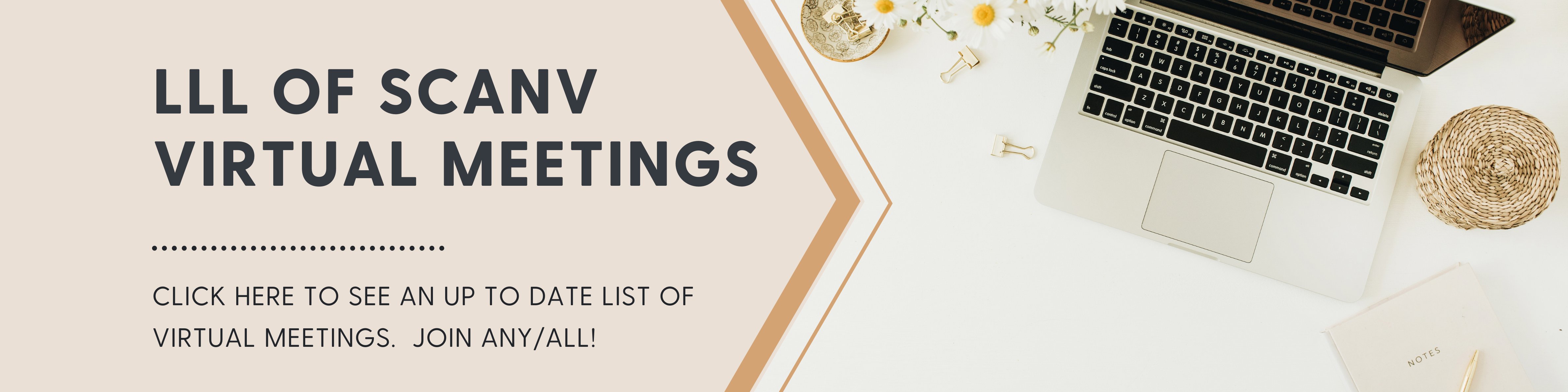 LLL of Southern California Nevada Virtual Meetings